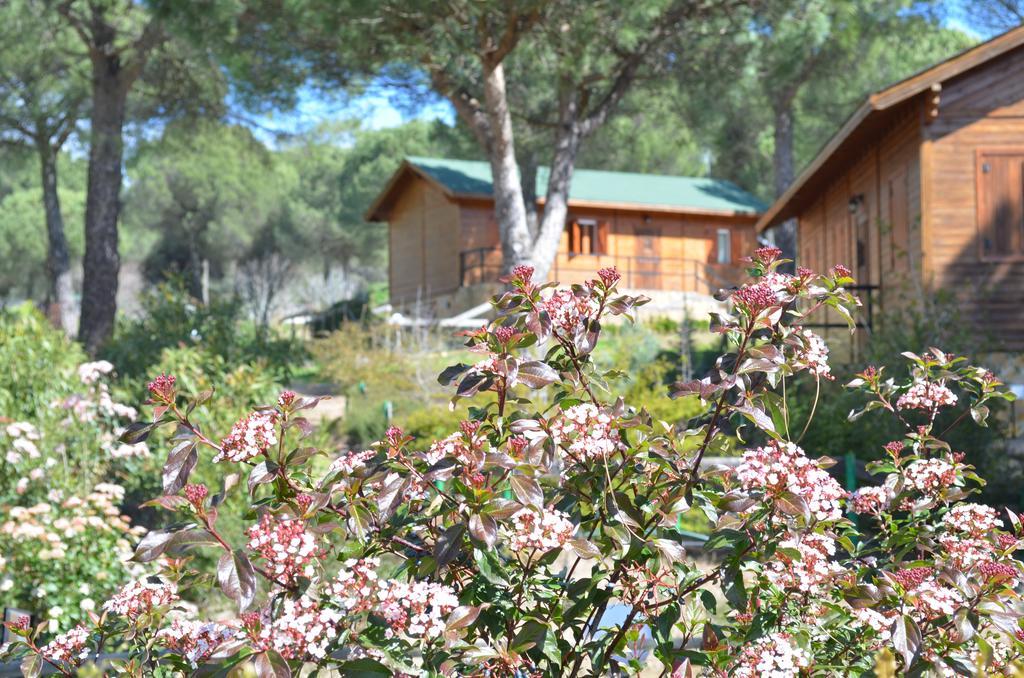 Apartamentos Paraje San Gines Andújar Zewnętrze zdjęcie