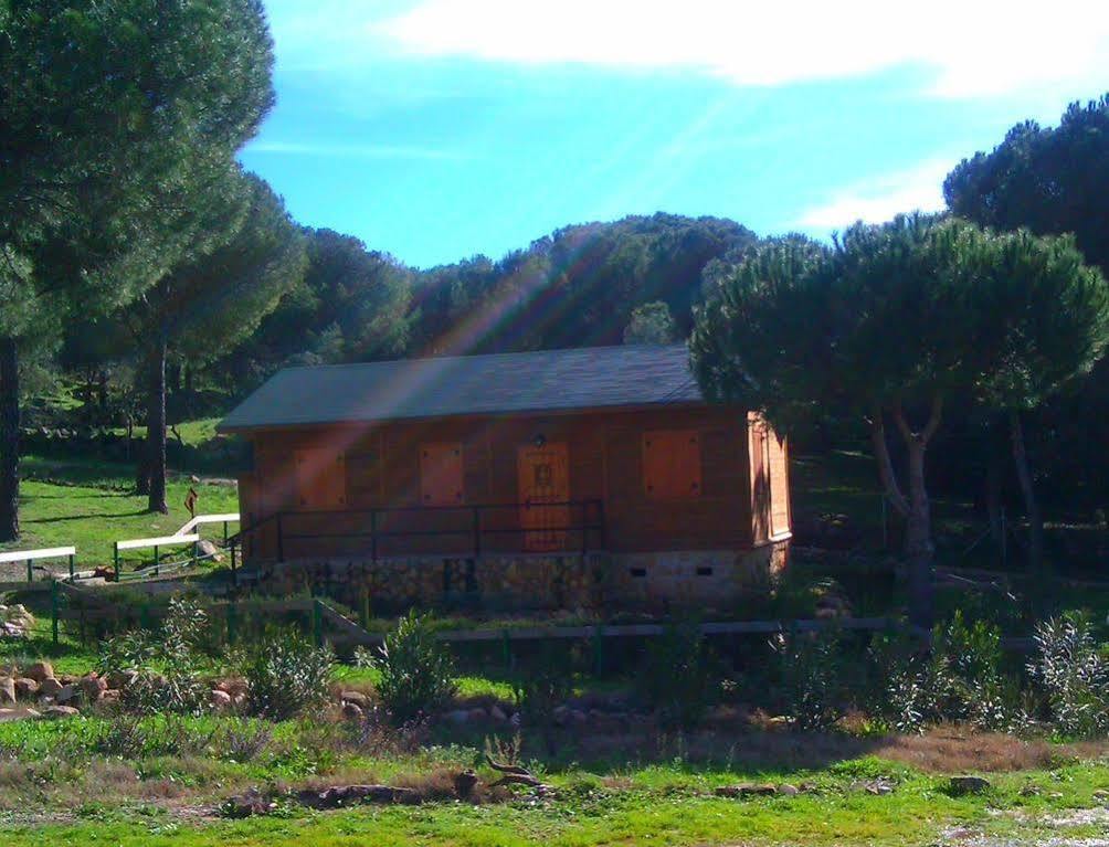 Apartamentos Paraje San Gines Andújar Zewnętrze zdjęcie