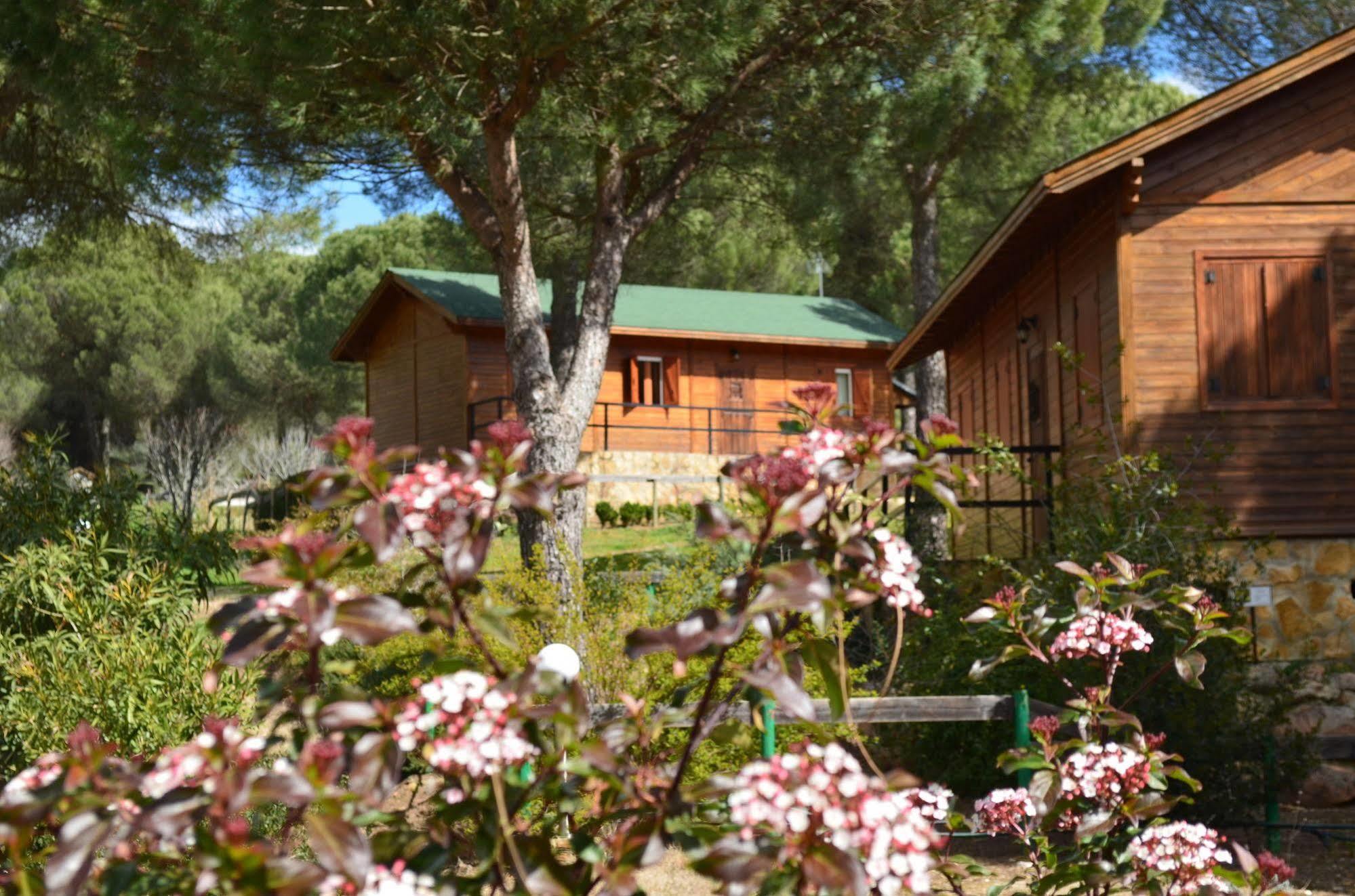 Apartamentos Paraje San Gines Andújar Zewnętrze zdjęcie